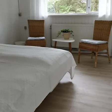 House Hotel